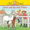 Conni und das neue Fohlen - Teil 10