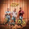 About Pelea De Gallos Song