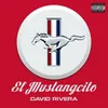 About El Mustangcito Song