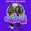 About Mi Bebé Remix Song