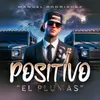 About Positivo "El Plumas" Song