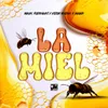 About La Miel Song