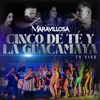 Cinco De Té Y La Guacamaya En Vivo