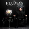 About El Plumas Song