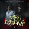 About Amiri y Estrellas Song