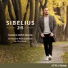 Sibelius: Symphony No. 5 in E-flat major, Op. 82 - III. Allegro molto - Largamente assai