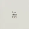 About Love After Hurt Song