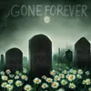 About Gone Forever Song