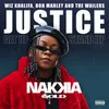 About Justice (Get Up, Stand Up) Song