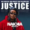 About Justice (Get Up, Stand Up) Song