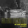 In the Water Acoustic
