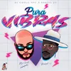 About Pura Vibras Song