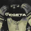 About Vegeta Song