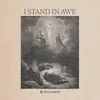 About I Stand in Awe Live Song