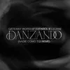 About Danzando (Nadie Como Tú) Remix Song