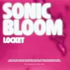 About Sonic Bloom Song