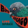 Barley Live From SPACE (Evanston, Illinois / June 28, 2013)