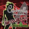 About Cinderella (Du Luder) Hartes-Luder-Mix Song