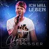 About Ich will leben Song