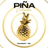 About PIÑA COLADA Song