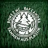 Palmen aus Plastik Instrumental