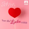 About Nur die Liebe zählt Song