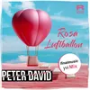 Rosa Luftballon finalmusic yvi Mix