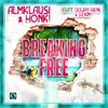 About Breaking Free Song