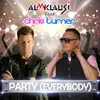 About Party (Everybody) Party Mix Song