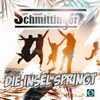 About Die Insel springt Song