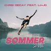 About Sommer 2018 Song