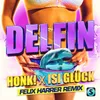 About Delfin Felix Harrer Remix Song
