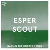 About Gaps In The Border Fence Song