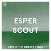 Gaps In The Border Fence