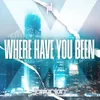 About WHERE HAVE YOU BEEN Song