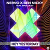 About Hey Yesterday Song