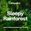 Sounds of the Rainforest, Pt. 13