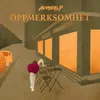 About Oppmerksomhet Song