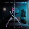 About STRIPPA I DITT VARDAGSRUM Song