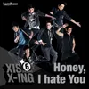 About Honey, I hate you Song