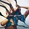 About call me cat Song