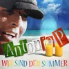 About Wir sind der Sommer Song