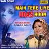 About Main Tere Liye Udas Hoon Song