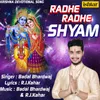 About Radhe Radhe Shyam Song