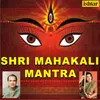 About Shri Mahakali Mantra Song