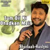 About Tum Dil Ki Dhadkan Mein - Unplugged Song