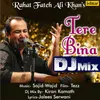 About Tere Bina Dj Mix Song