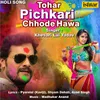 About Tohar Pichkari Chhode Hawa Song