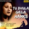 About Tu Bhula Gaila Hamke Song