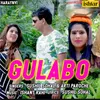 About Gulabo Song